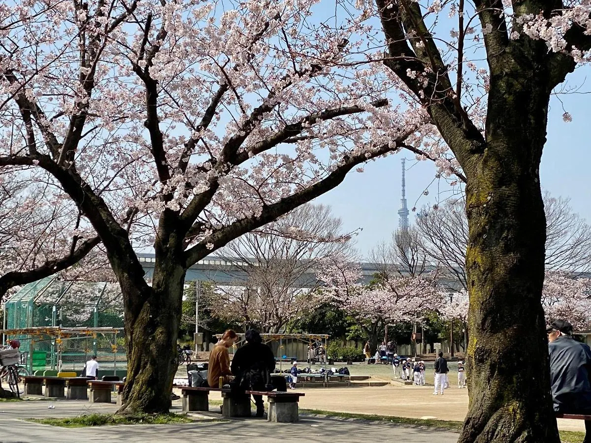ワンハウス新小岩 Apartment Tokyo 0*,